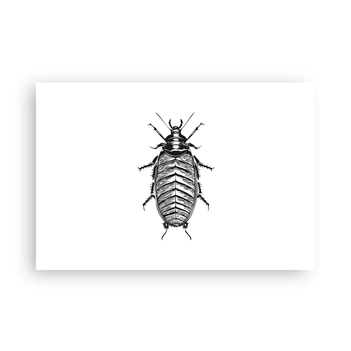 Poster - What a Specimen - 91x61 cm