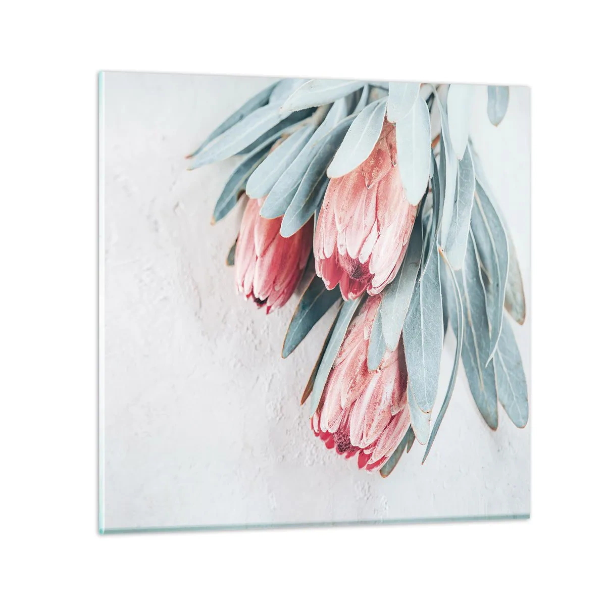 Glass picture - Ashamed of Their Own Beauty - 70x70 cm