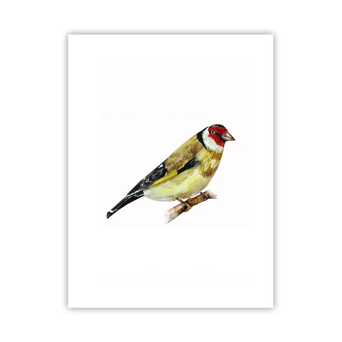 Poster - Bird Portrait  - 30x40 cm