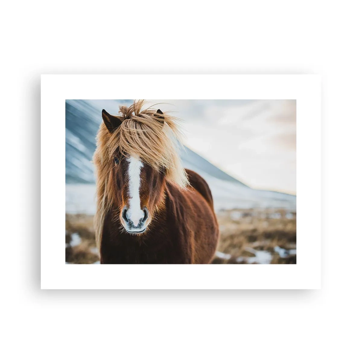 Poster - Can You Feel the Freedom? - 40x30 cm