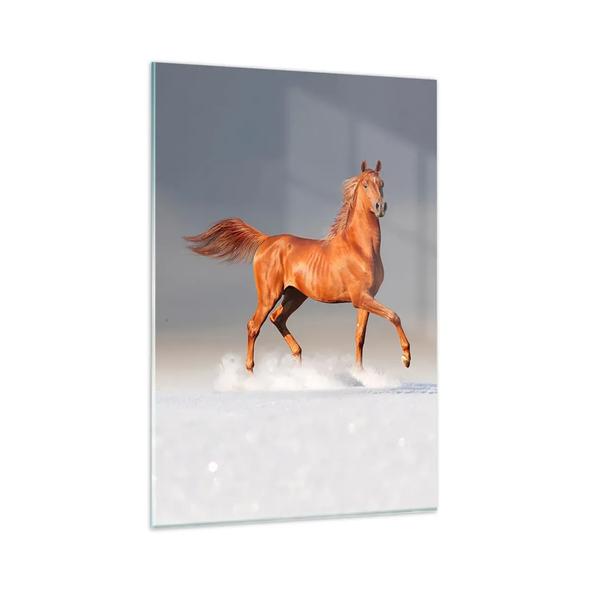 Glass picture - Dancing Grace - 80x120 cm