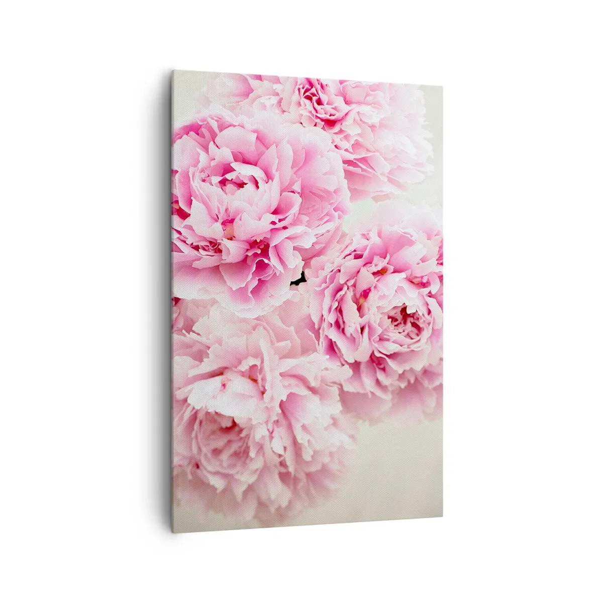 Canvas picture - In Pink Splendour - 80x120 cm