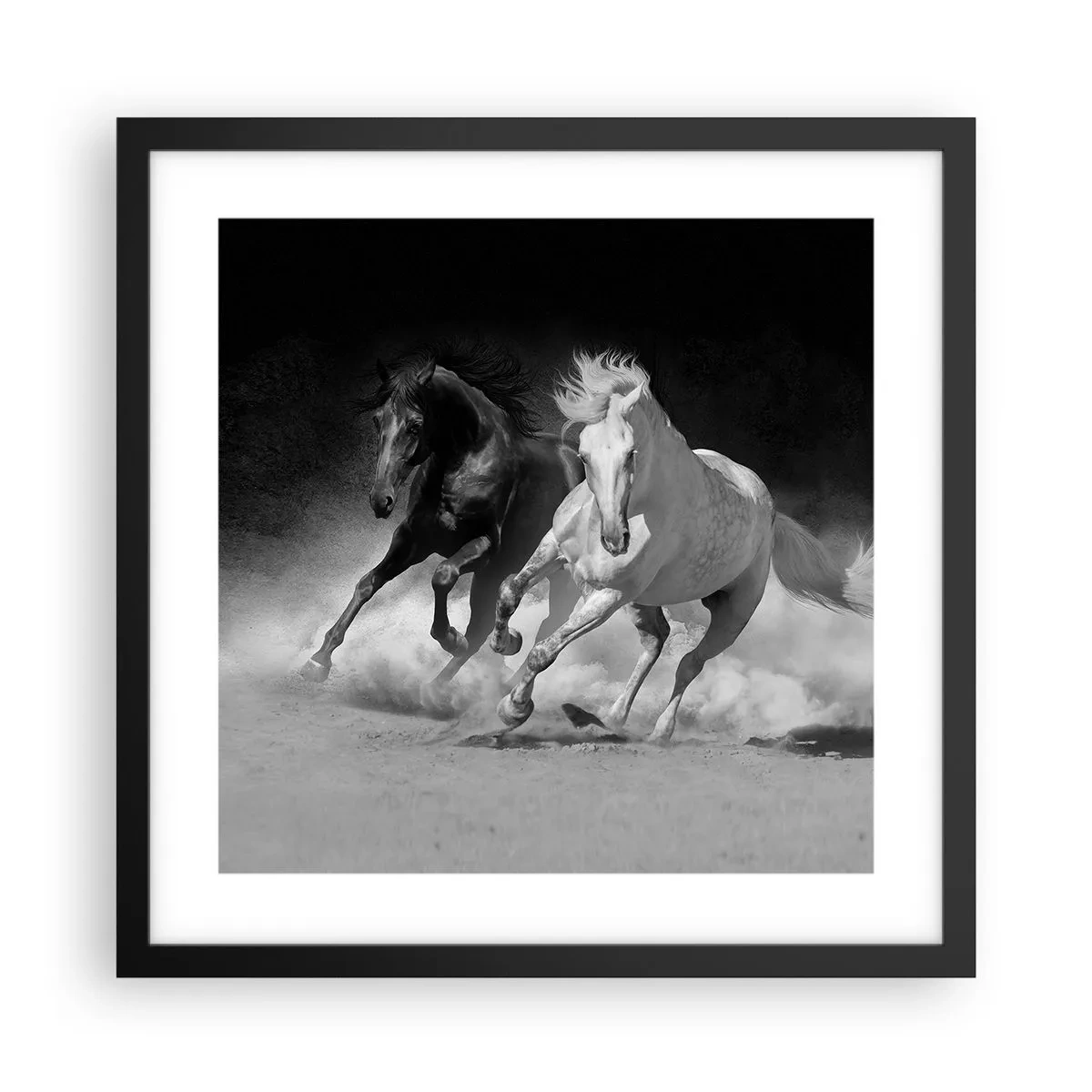 Poster in black frame - Gallop of Freedom - 40x40 cm