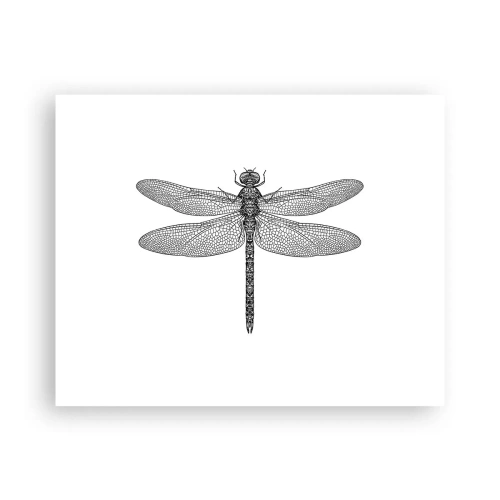 Poster - Precision of Nature - 50x40 cm