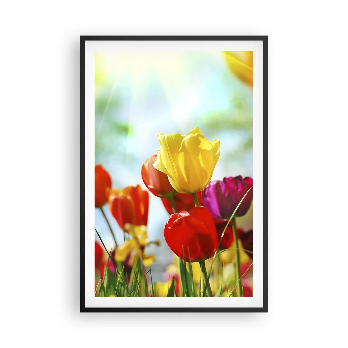 Poster in black frame - All Colours of the Sun - 61x91 cm