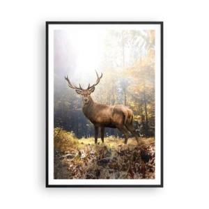Poster in black frame - In Full Majesty - 70x100 cm