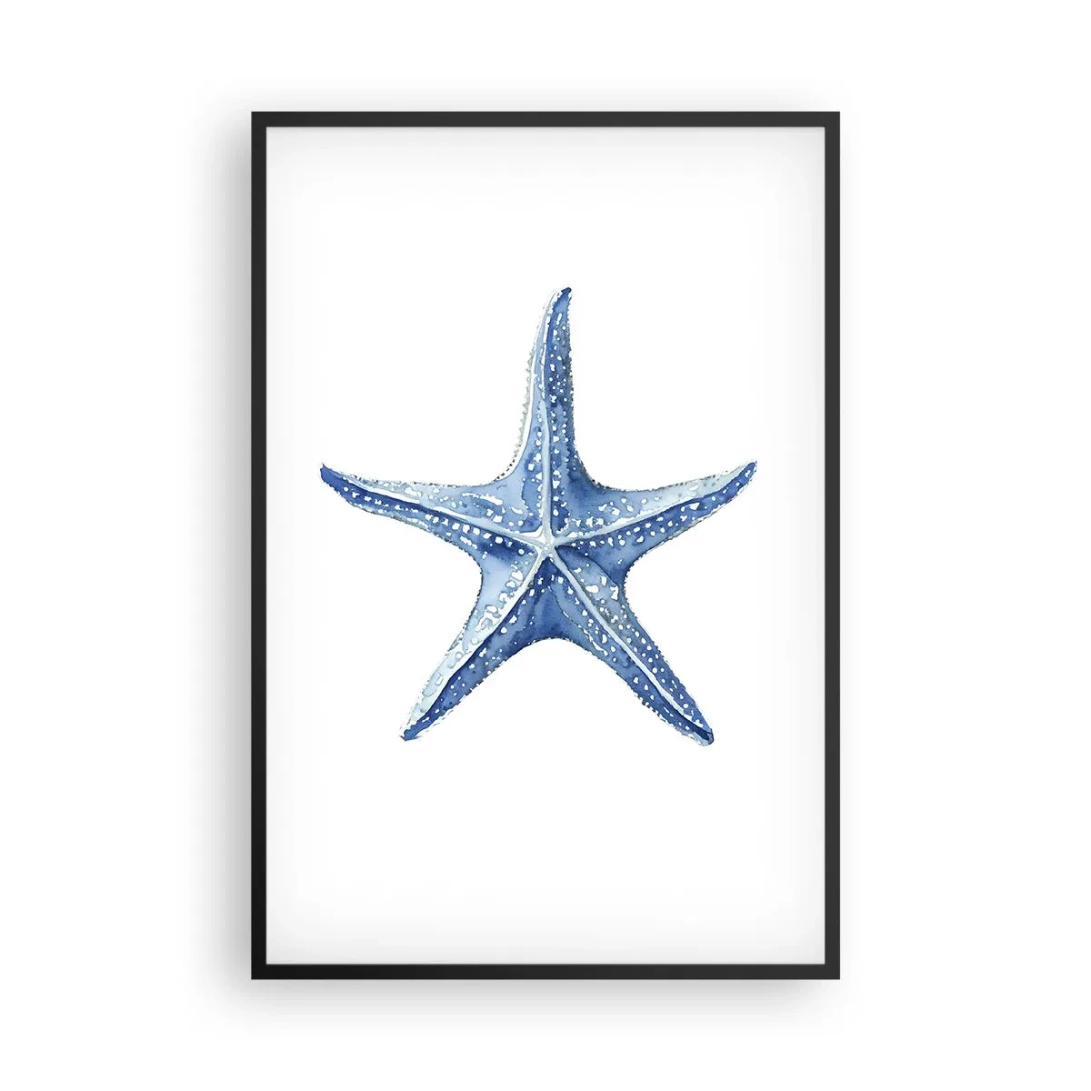 Poster in black frame - Sea Star - 61x91 cm