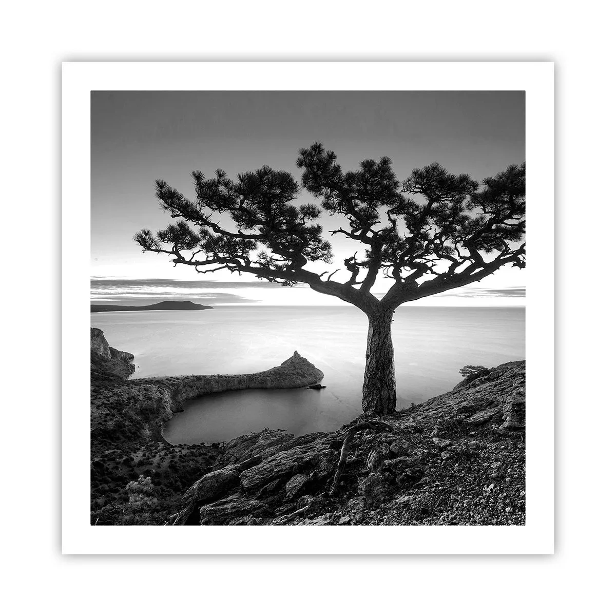 Poster - Quiet All Around - 60x60 cm