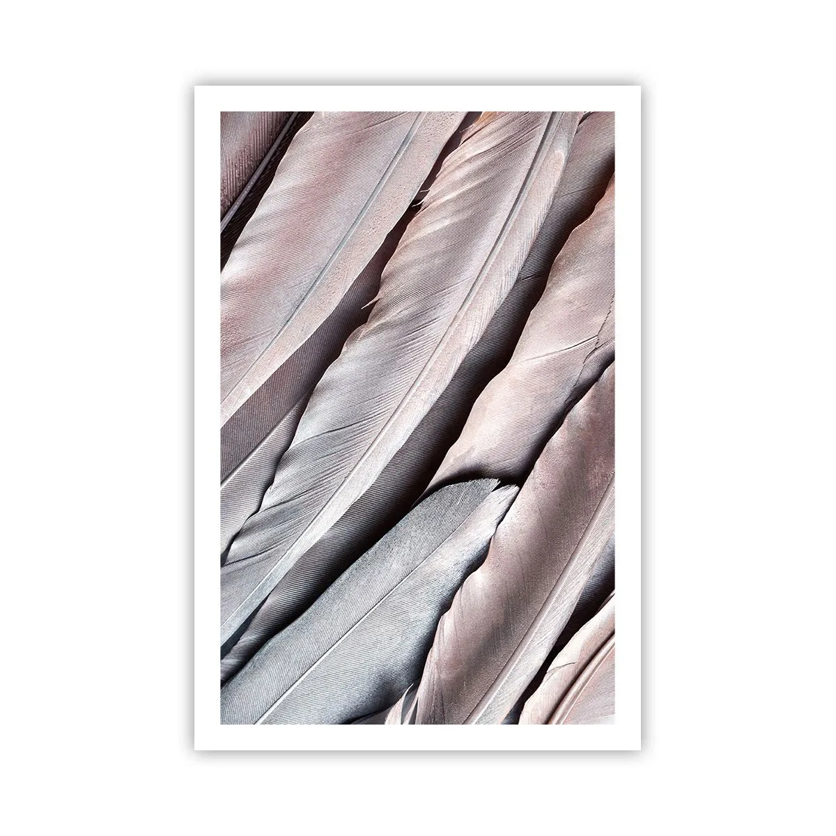Poster - In Pink Silverness - 61x91 cm