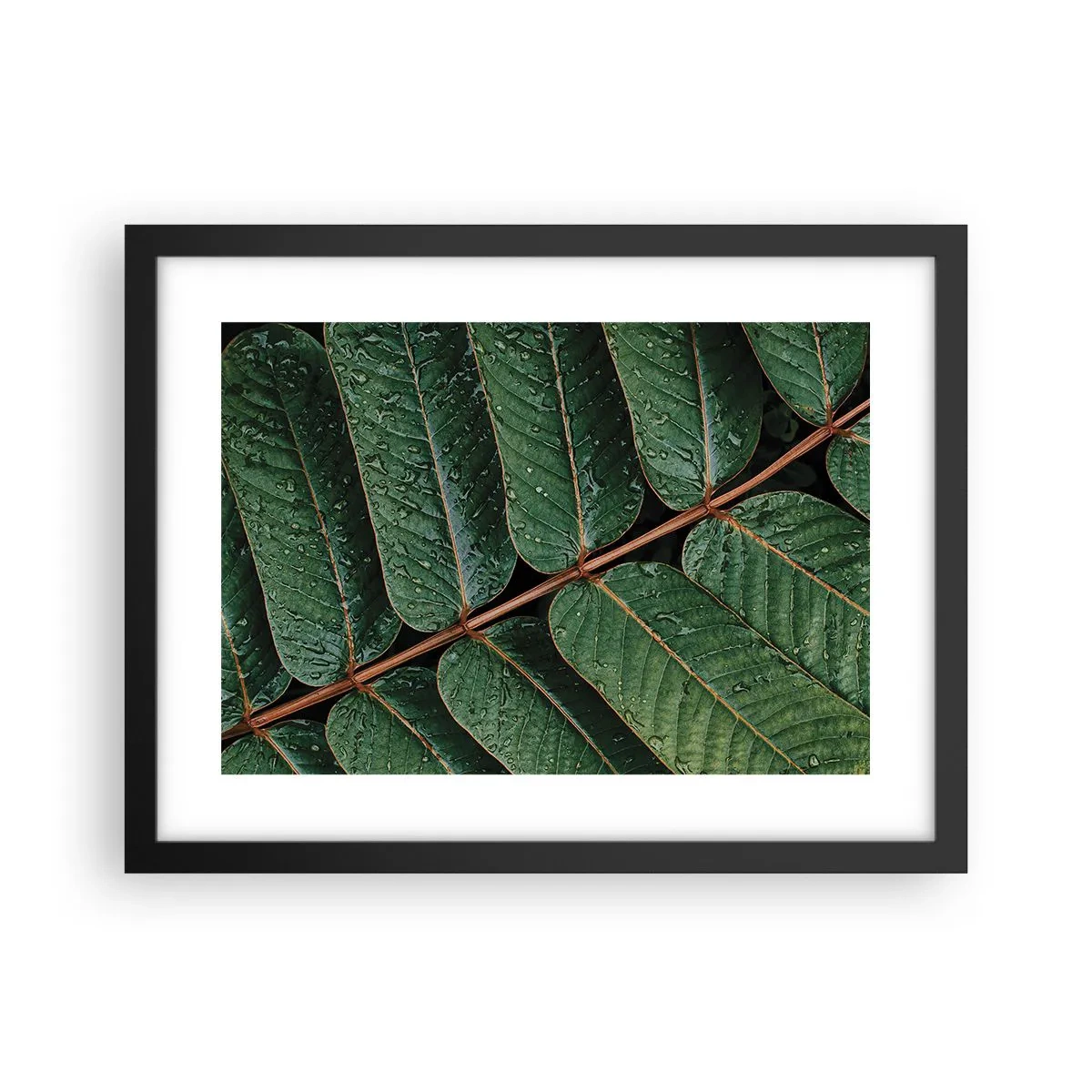 Poster in black frame - In Green Rhythm - 40x30 cm