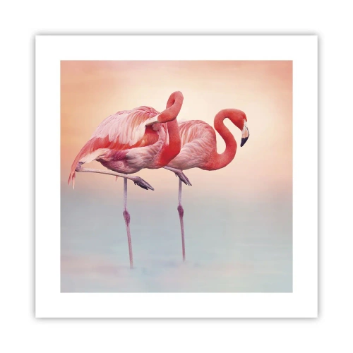 Poster - In the Colour Of Sunset - 40x40 cm