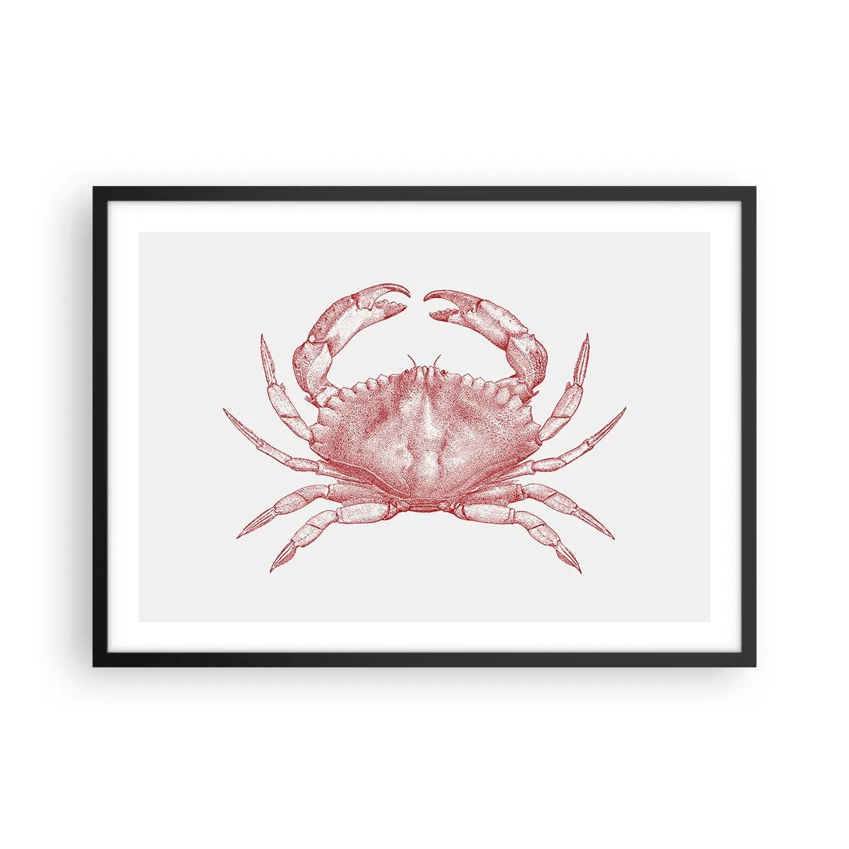 Poster in black frame - Crab Like No Other - 70x50 cm