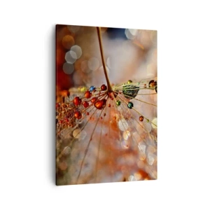 Canvas picture - Strung on a Spider's Web - 50x70 cm