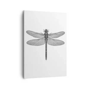 Canvas picture - Precision of Nature - 50x70 cm