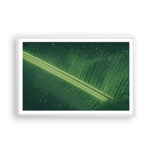Poster in white frmae - Structure of Green - 91x61 cm