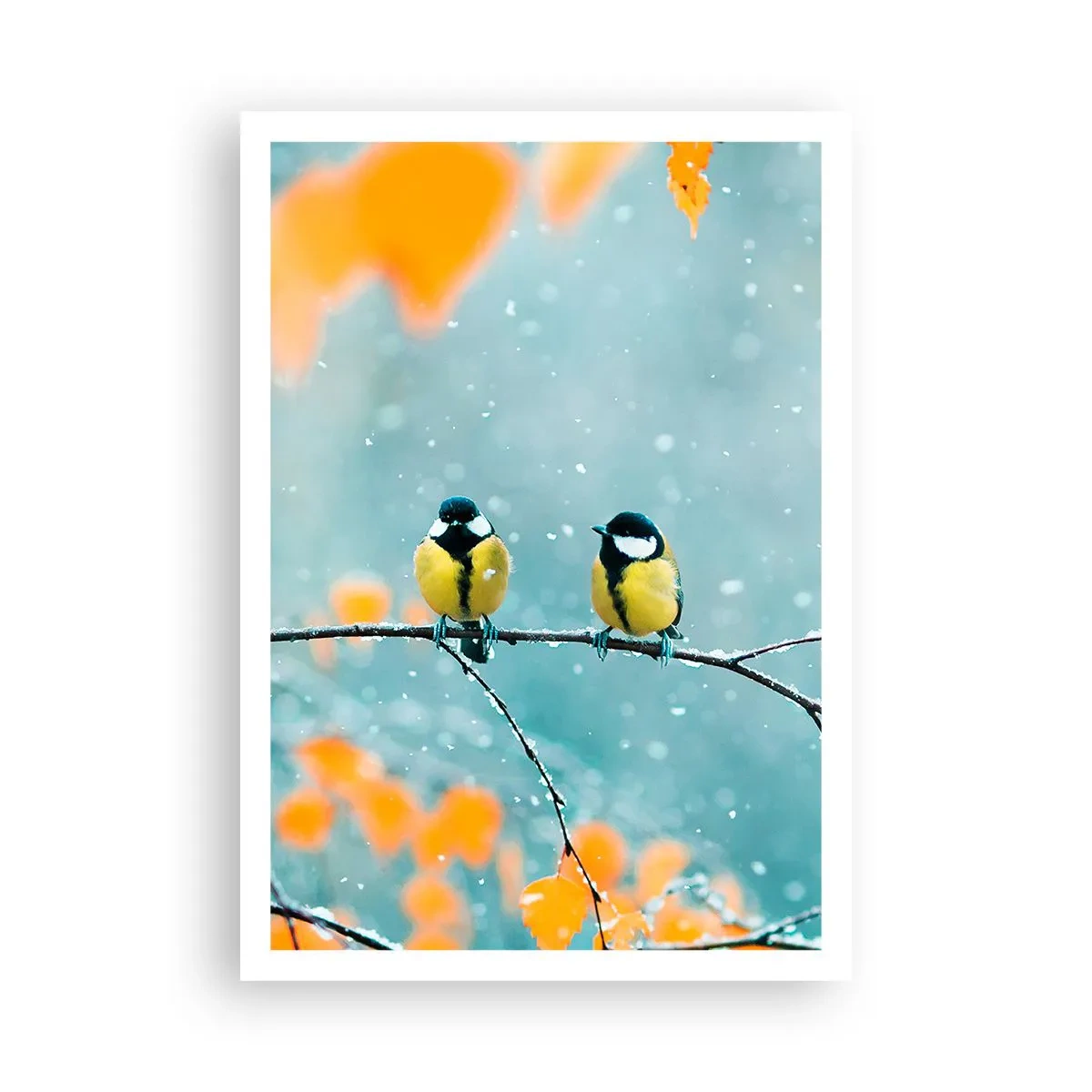 Poster - Birdy Gossip - 70x100 cm