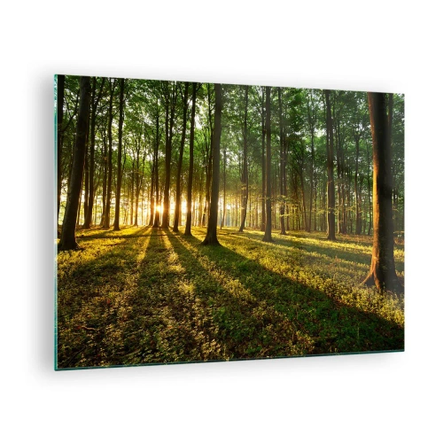 Glass picture - A forest glade illuminated by the rays of the rising sun - 70x50cm - Photography of All Springs - Modern wall decoration for the living room and bedroom ARTTOR