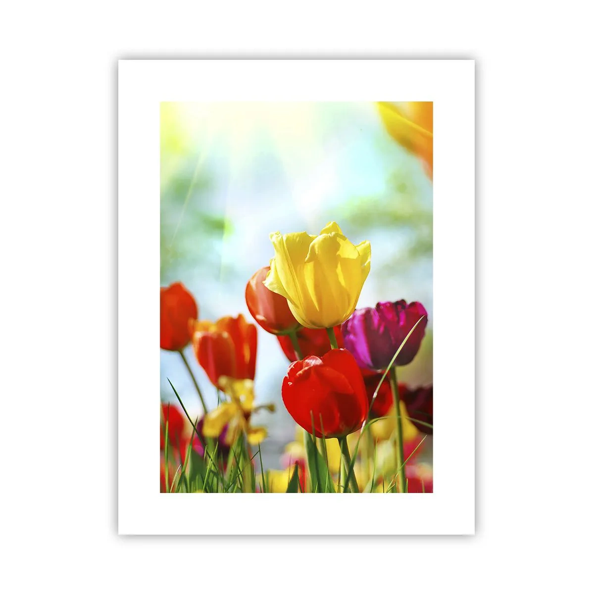 Poster - All Colours of the Sun - 30x40 cm