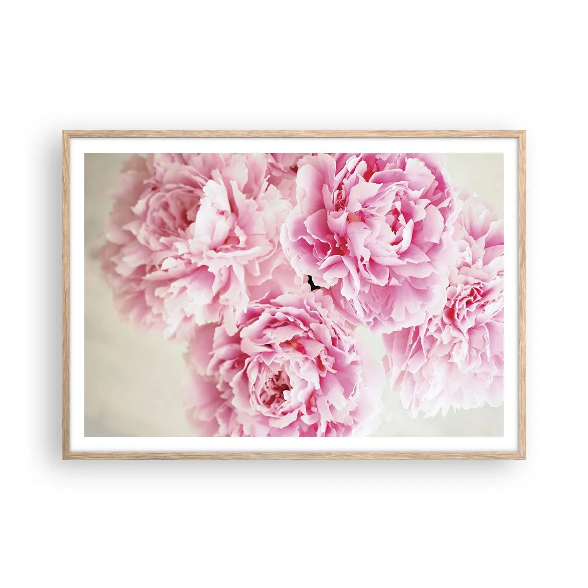 Poster in light oak frame - In Pink Splendour - 100x70 cm