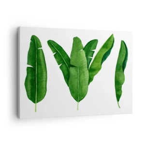 Canvas picture - Three banana leaves in an artistic approach - 70x50cm - Green Symmetry - Modern wall decoration for the living room and bedroom ARTTOR