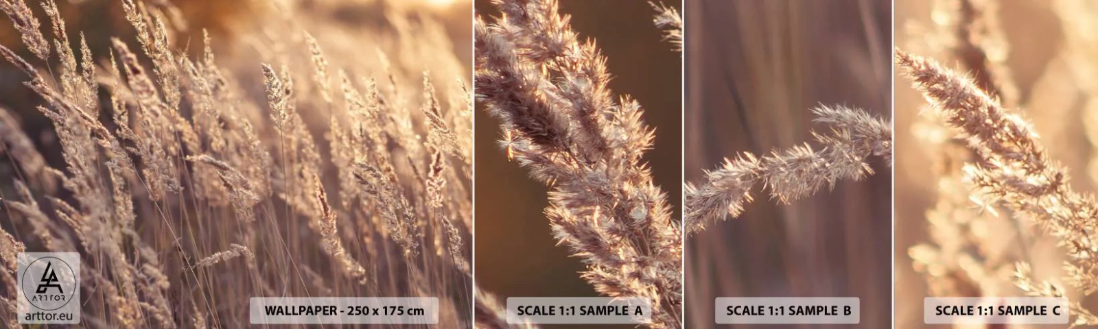 Photo Wallpaper Sample Self-Adhesive Deluxe Sticker - Ready to Welcome Autumn - Landscape, Ears of Grain, Meadow - 100x30 cm
