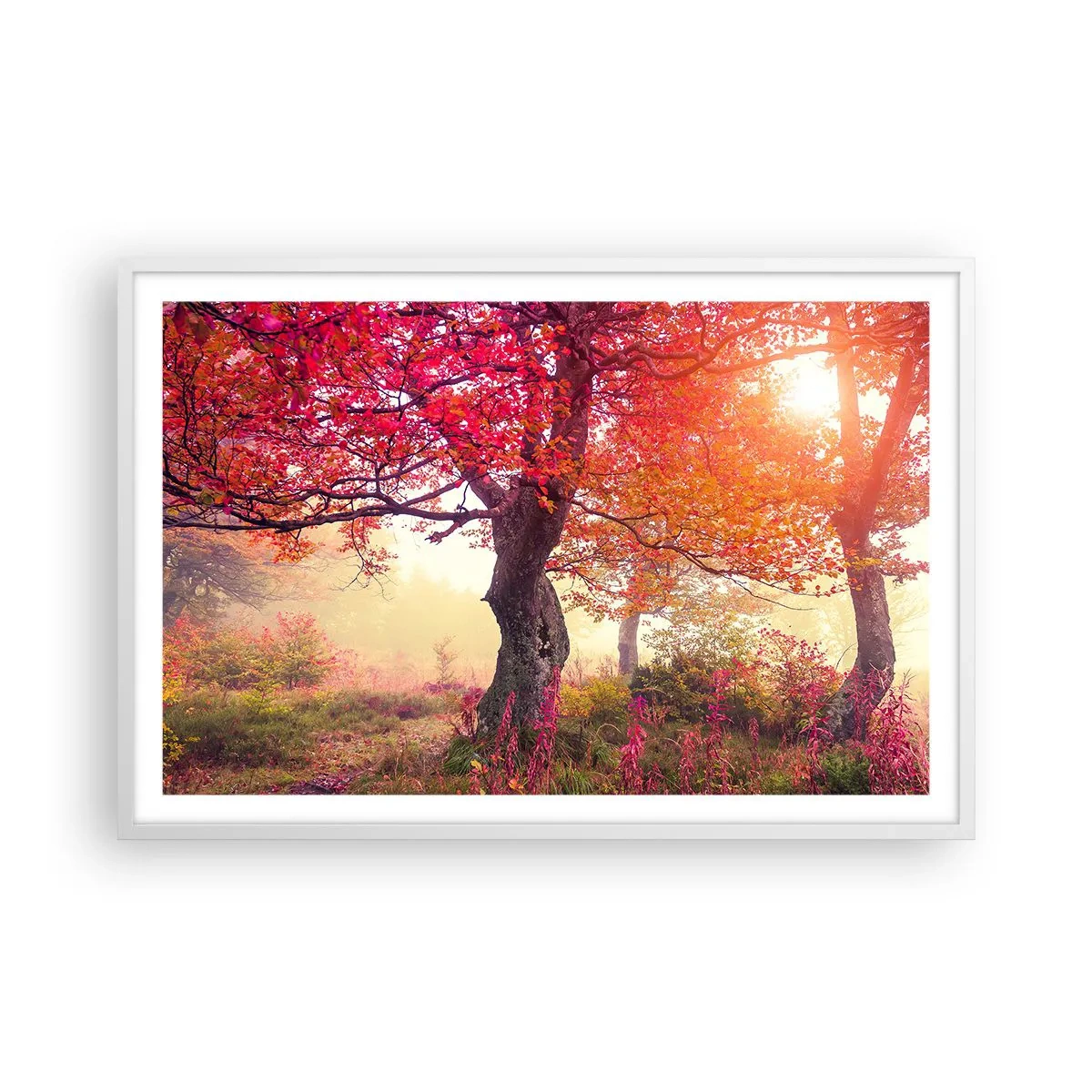 Poster in white frmae - In Full Bloom - 91x61 cm