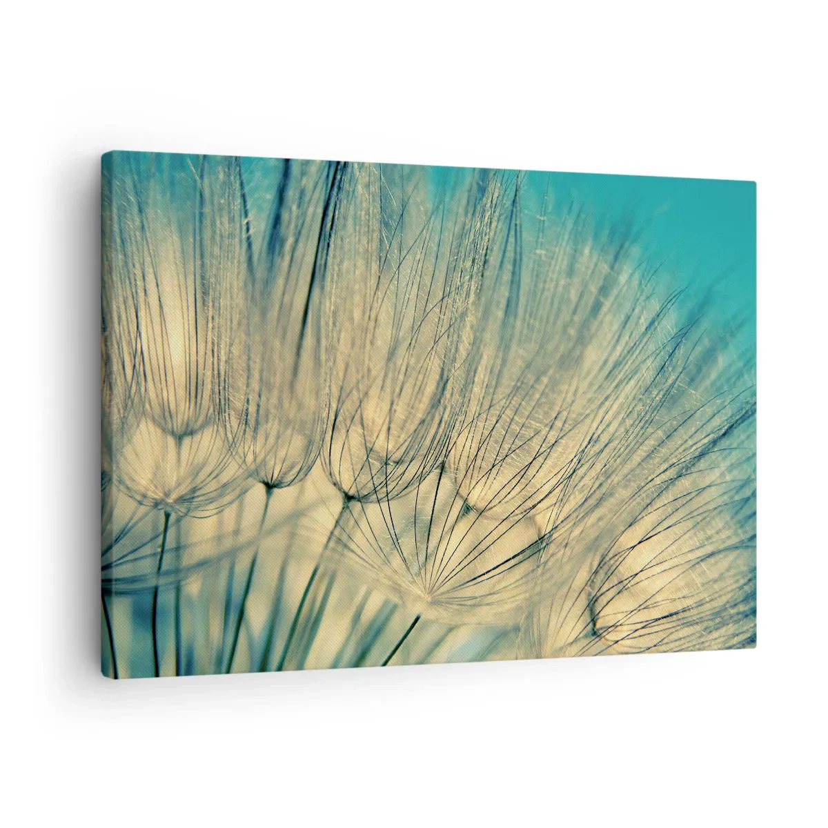 Canvas picture - Macro photography of dandelions in daylight - 70x50cm - Waiting for the Wind - Modern wall decoration for the living room and bedroom ARTTOR