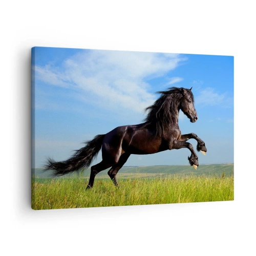 Canvas picture - A black horse running against a blue sky and a green meadow - 70x50cm - Thrilling Manifesto of Freedom - Modern wall decoration for the living room and bedroom ARTTOR