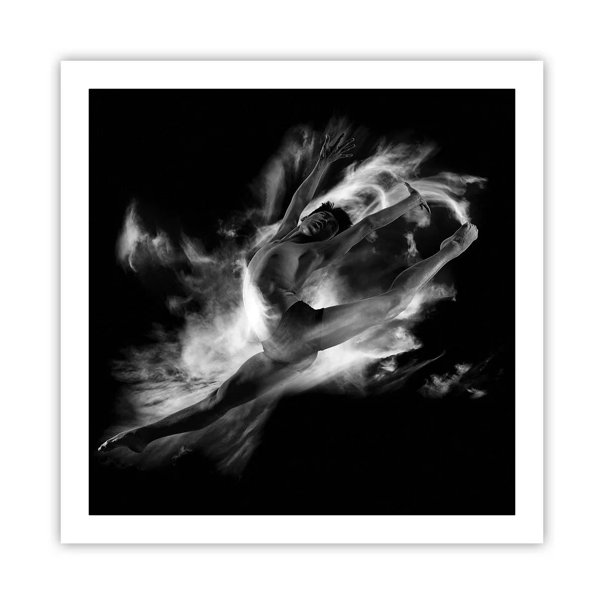 Poster - Stopped i in Flight - 60x60 cm