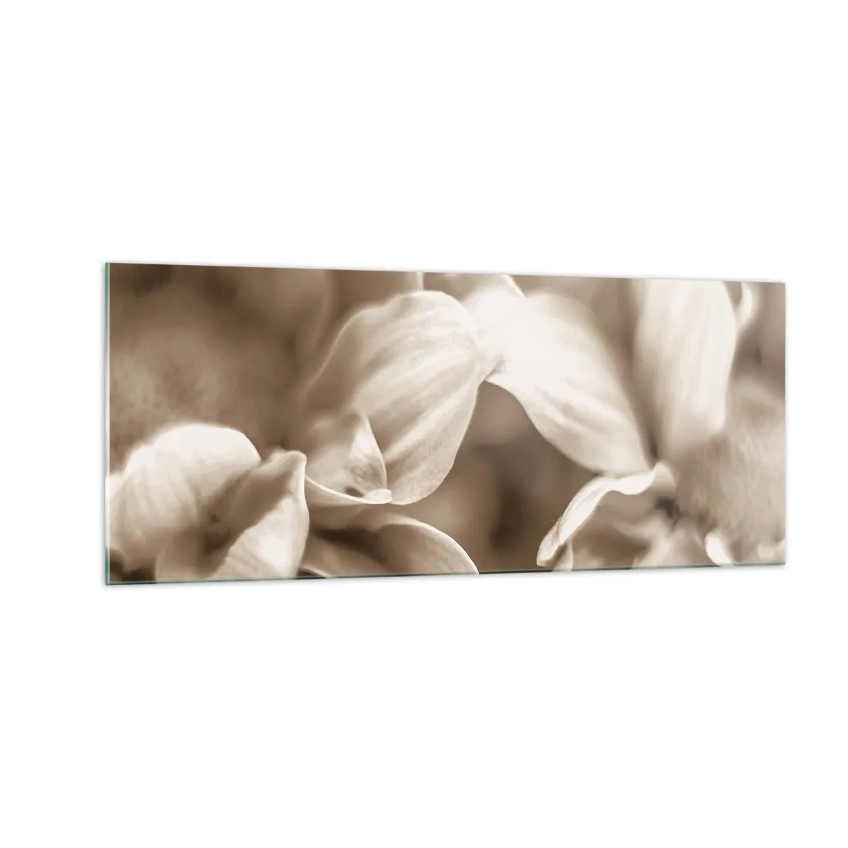 Glass picture - Soft as a Smile - 100x40 cm