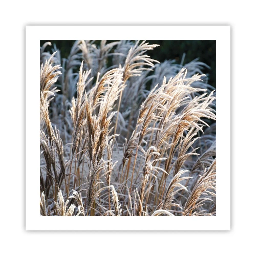 Poster - Decorated with Frost - 50x50 cm