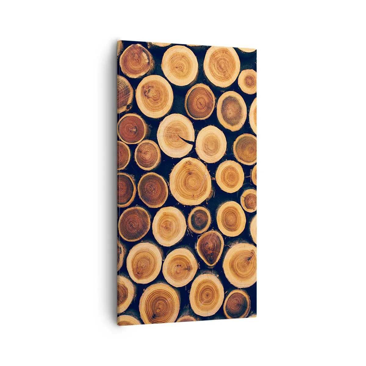 Canvas picture - How Much Do You Give Me? - 55x100 cm