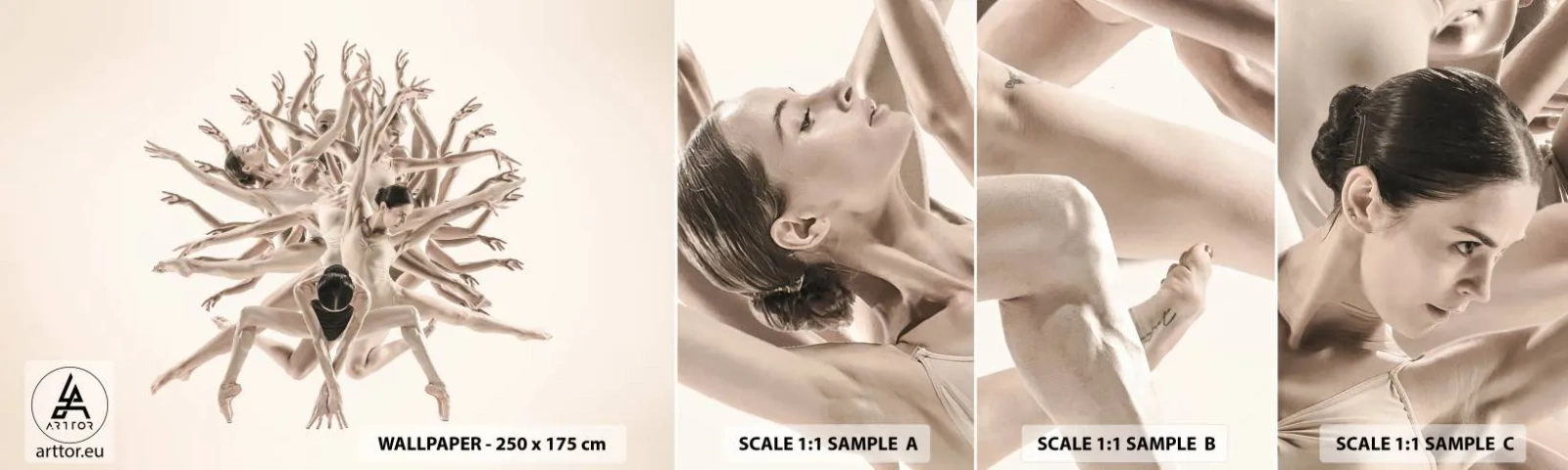 Photo Wallpaper Sample Self-Adhesive Deluxe Sticker - Dance in Bloom - Abstraction, Piece, Ballet - 100x30 cm