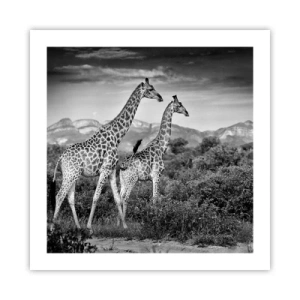 Poster - Higher Spheres in Africa - 50x50 cm