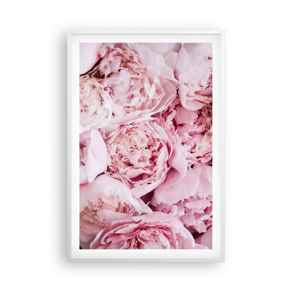 Poster in white frmae - Cuddly and Fragrant - 61x91 cm