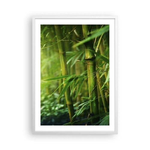 Poster in white frmae - Getting to Know the Green - 50x70 cm