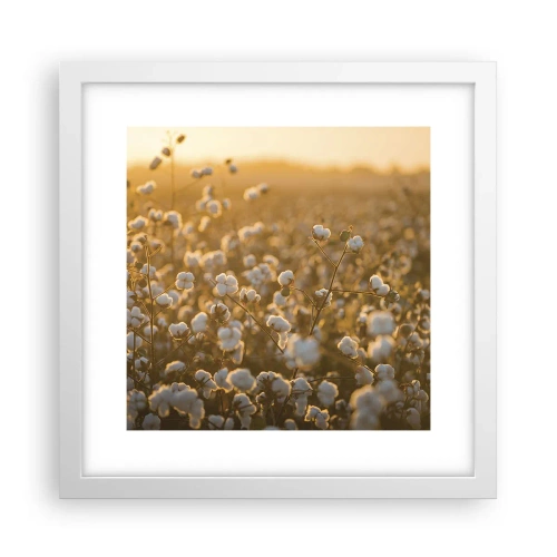 Poster in white frmae - Fluffy Field - 30x30 cm