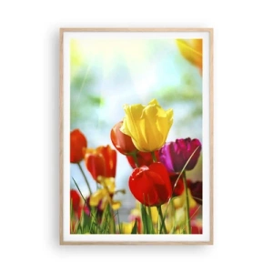Poster in light oak frame - All Colours of the Sun - 70x100 cm