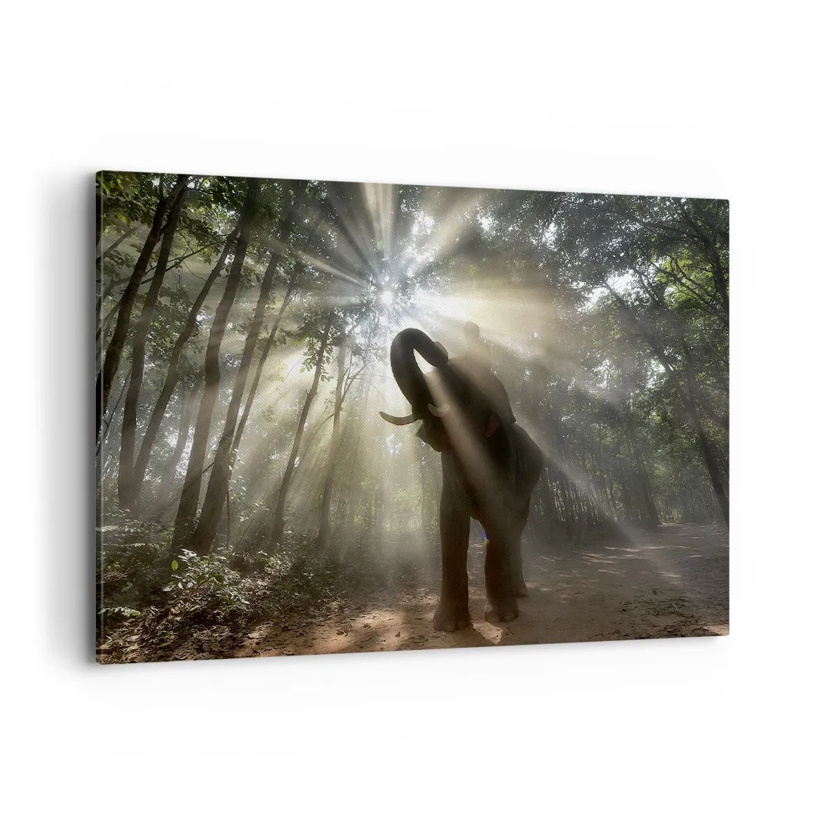 Canvas picture - Under a Lucky Star - 120x80 cm