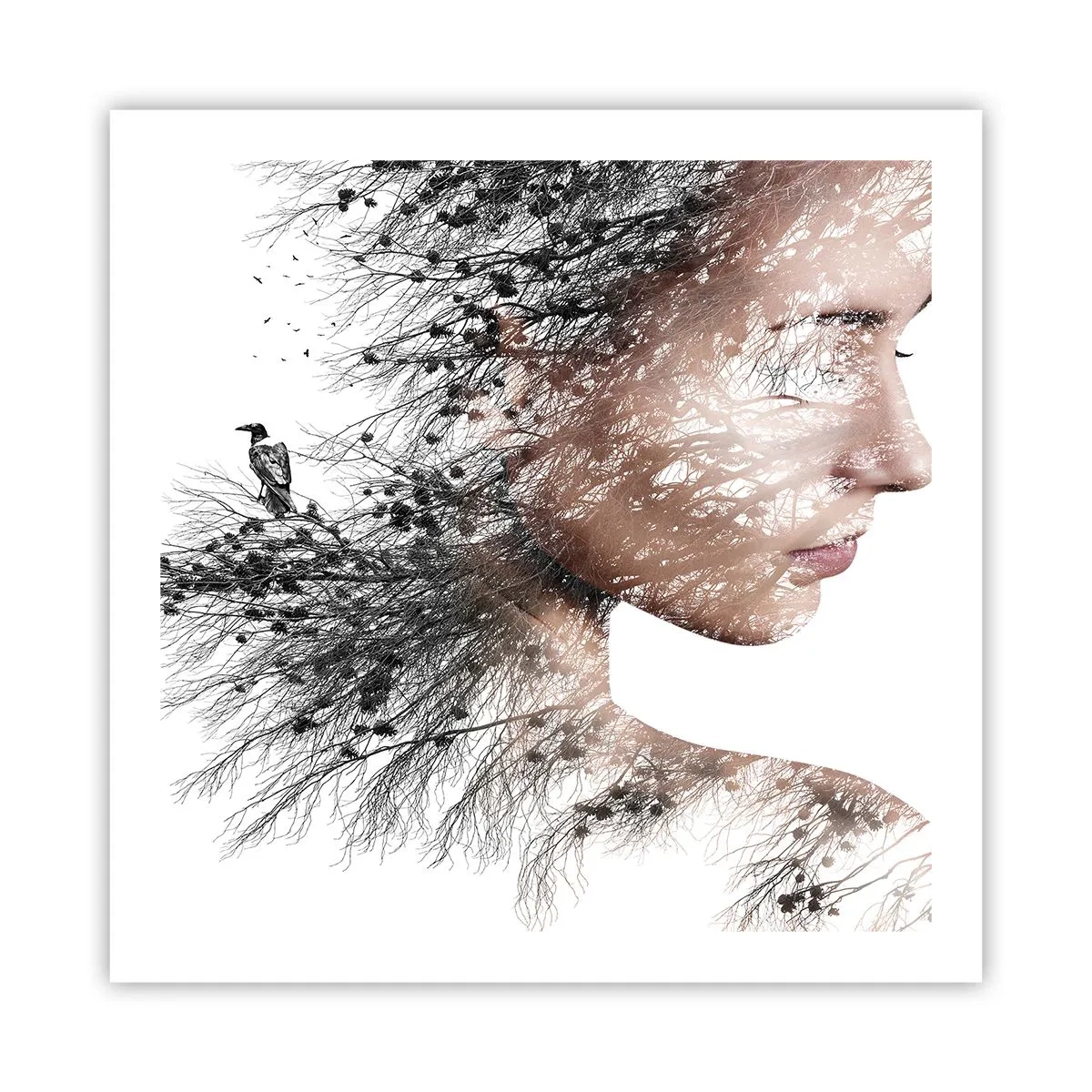 Poster - Spirit of a Forest - 60x60 cm