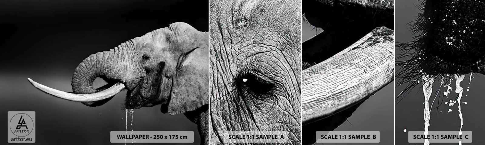 Photo Wallpaper Sample Standard Eco - Yes, That's Right - Animals, Elephant, Africa - 100x30 cm
