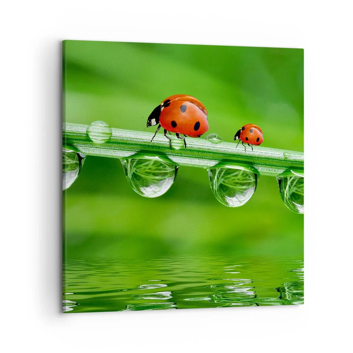 Canvas picture - Summer Is on Its Way - 50x50 cm