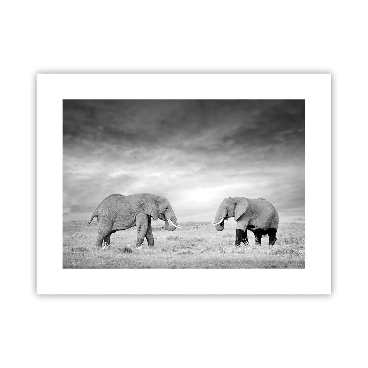 Poster - Grey Is Beautiful - 40x30 cm