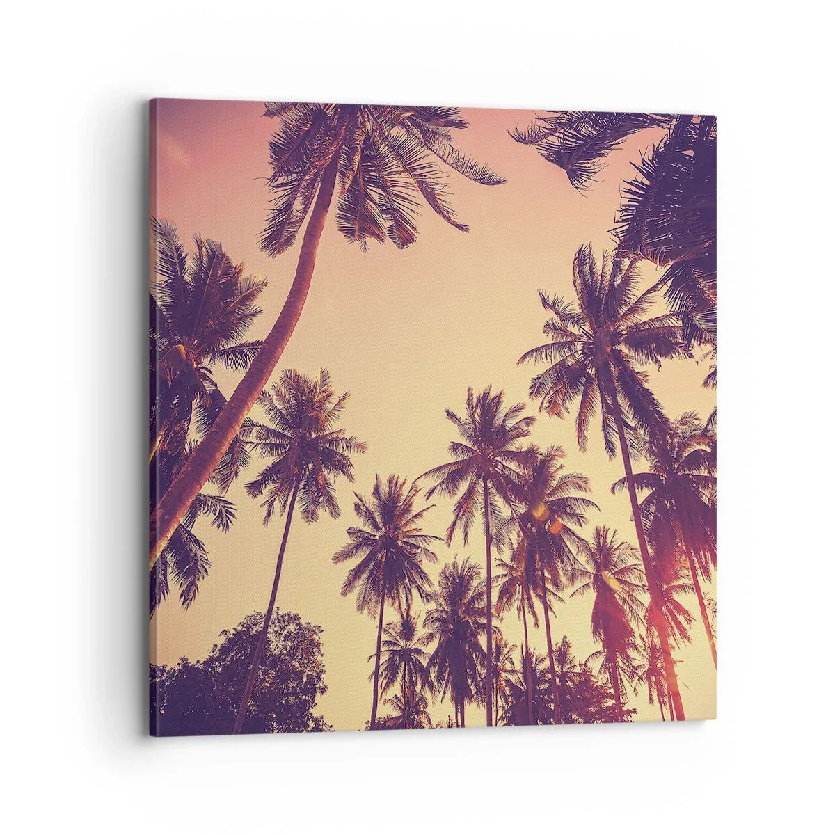 Canvas picture - Tropical Variation - 70x70 cm