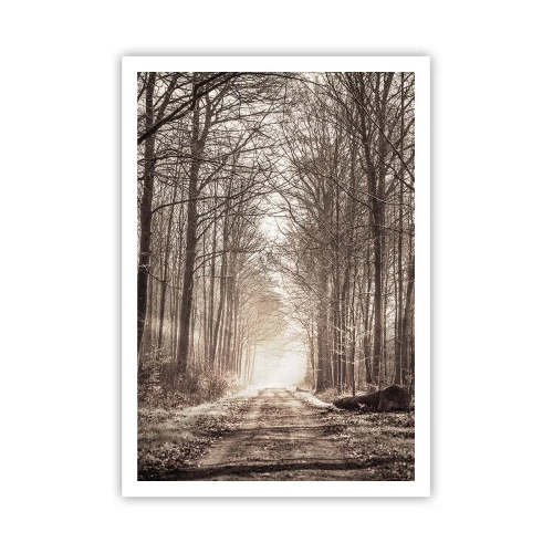 Poster - Cathedral of the Forest - 70x100 cm