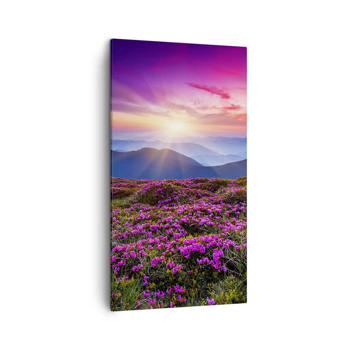 Canvas picture - Smells Strongly of Herbs - 45x80 cm