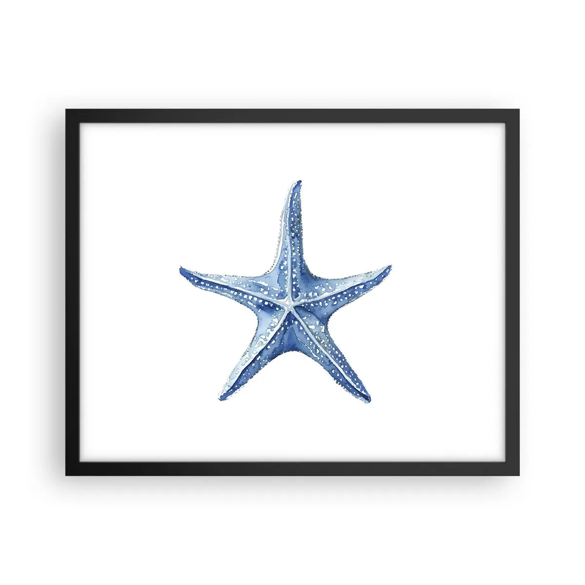 Poster in black frame - Sea Star - 50x40 cm