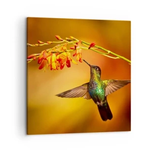 Canvas picture - Messenger of Light according to the Mayans - 50x50 cm