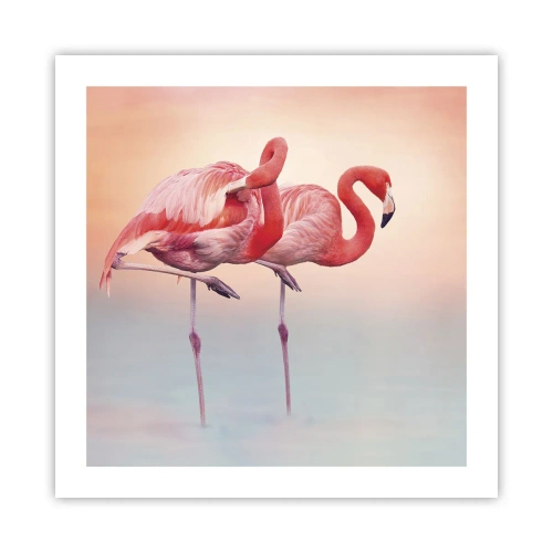 Poster - In the Colour Of Sunset - 50x50 cm