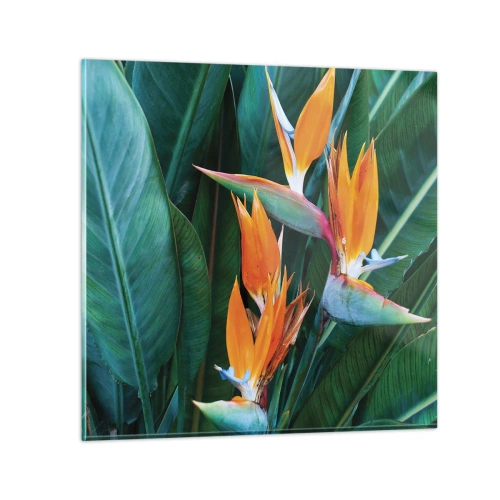 Glass picture - Is It a Flower or a Bird? - 40x40 cm